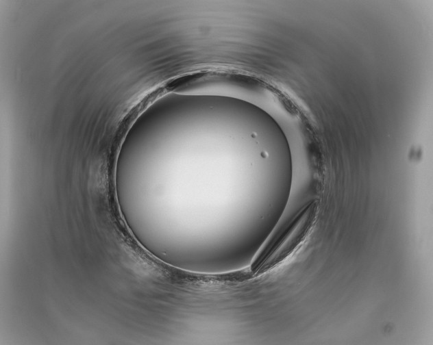 X0000090920969200708131430