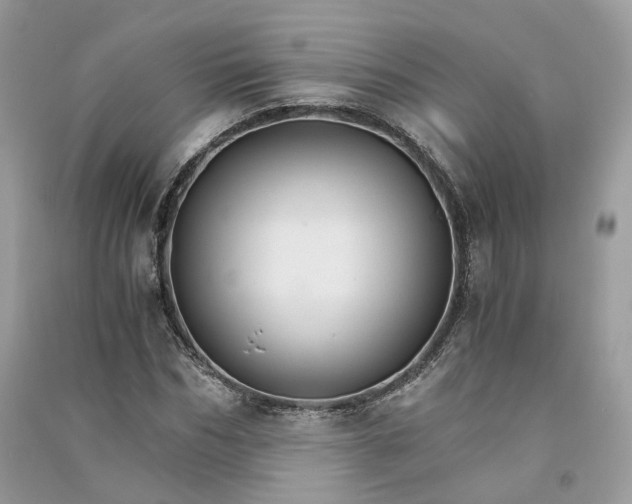 X0000090920970200708131430