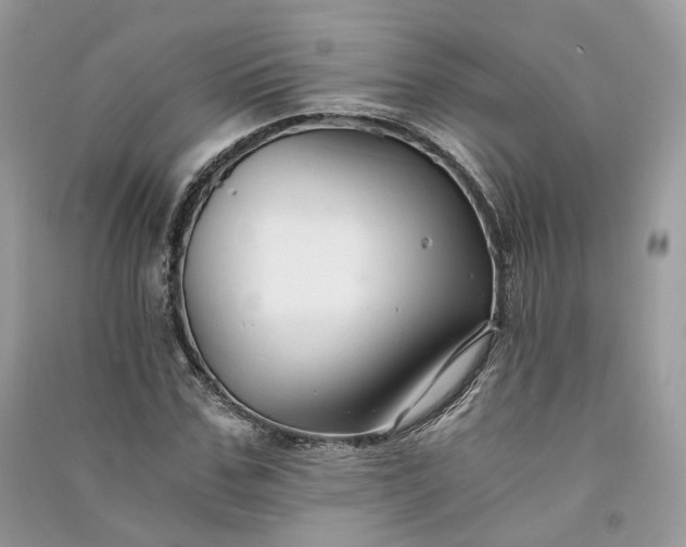 X0000090920971200708131430