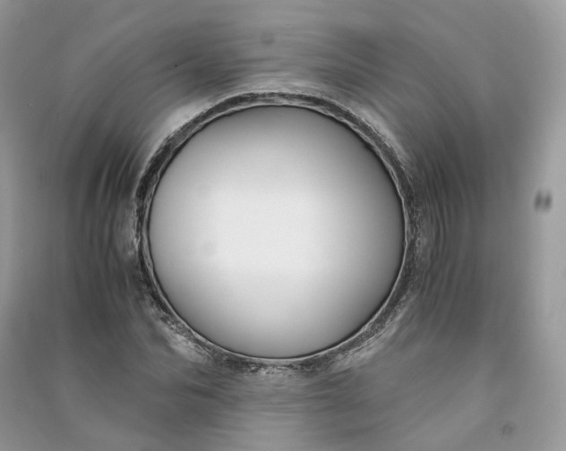 X0000090920974200708131429