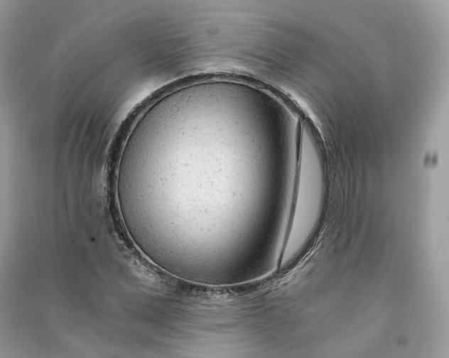 X0000090920975200708131429