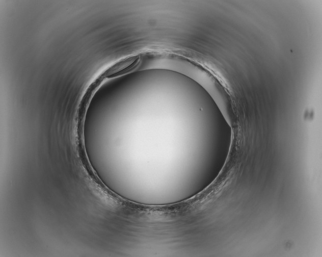 X0000090920976200708131429