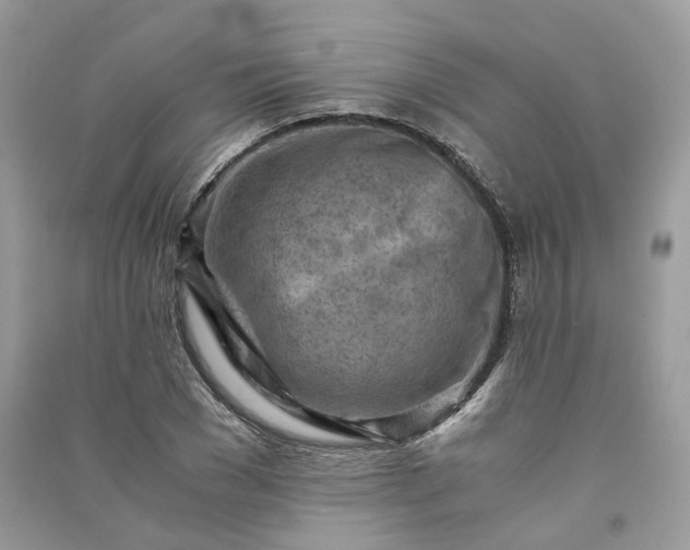 X0000090920977200708131429