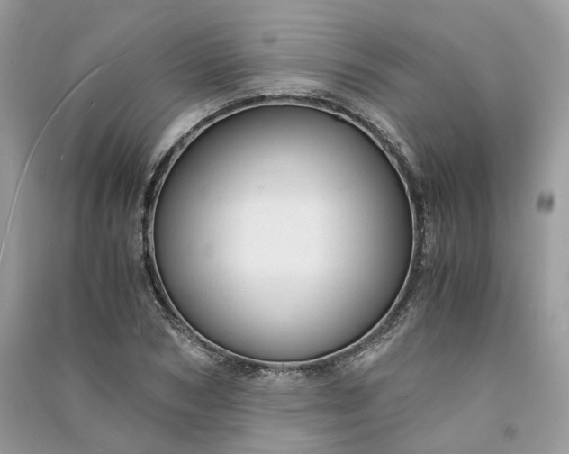 X0000090920978200708131429