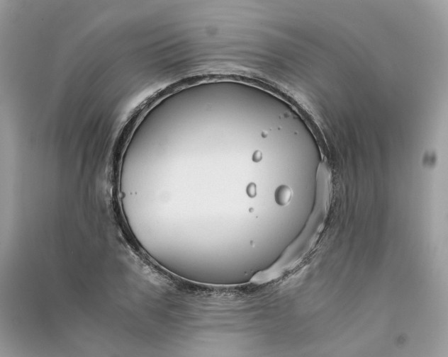 X0000090920979200708131429