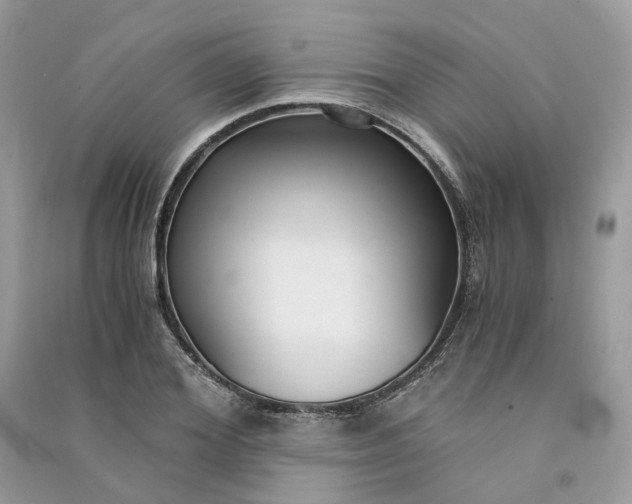 X0000090920980200708131429