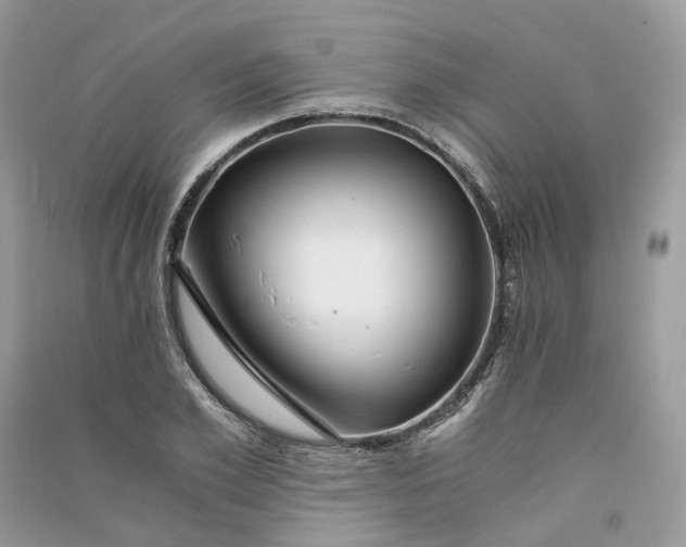 X0000090920981200708131429