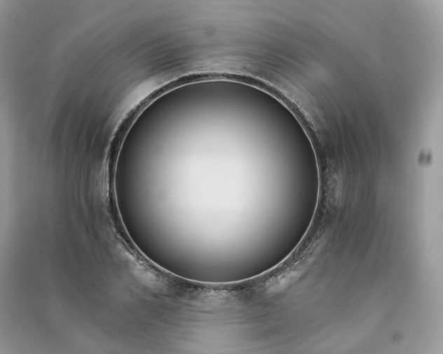 X0000090920982200708131429