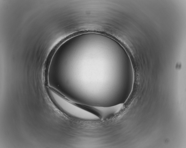 X0000090920983200708131429