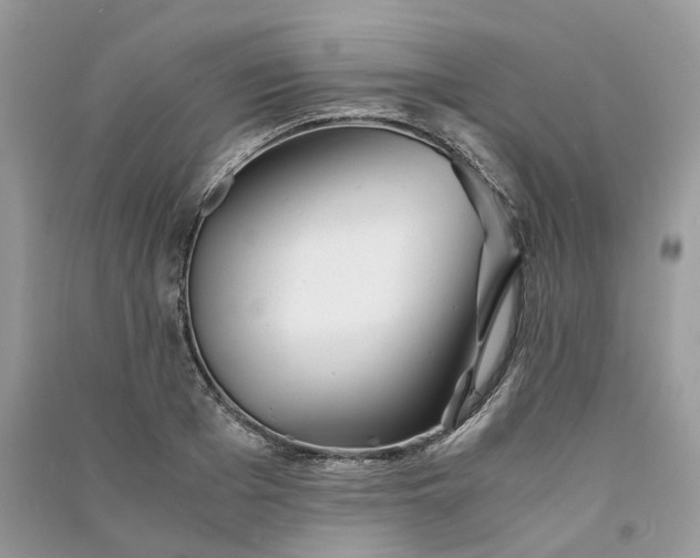 X0000090920985200708131429