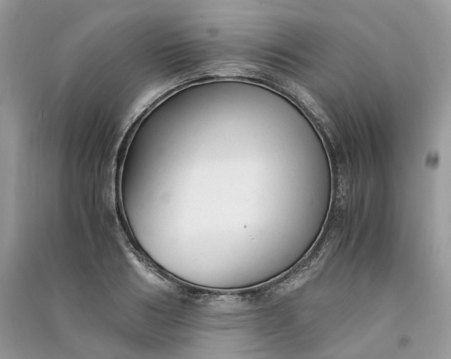 X0000090920986200708131429