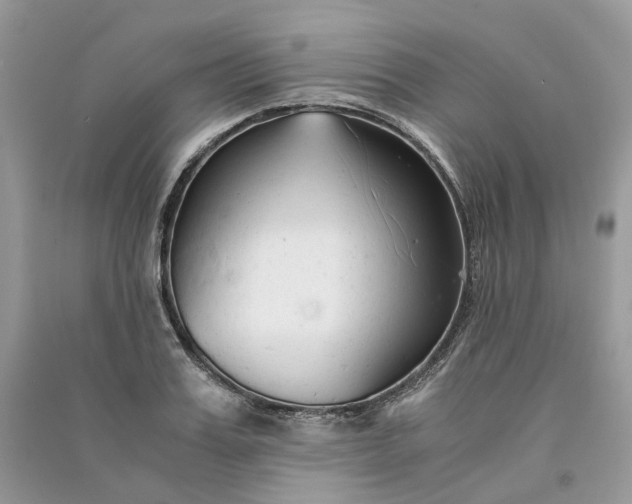 X0000090920987200708131429