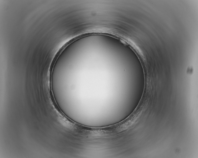 X0000090920988200708131429