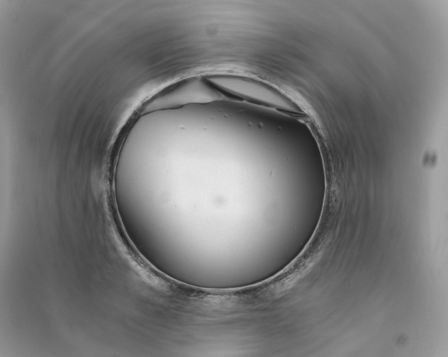 X0000090920989200708131429