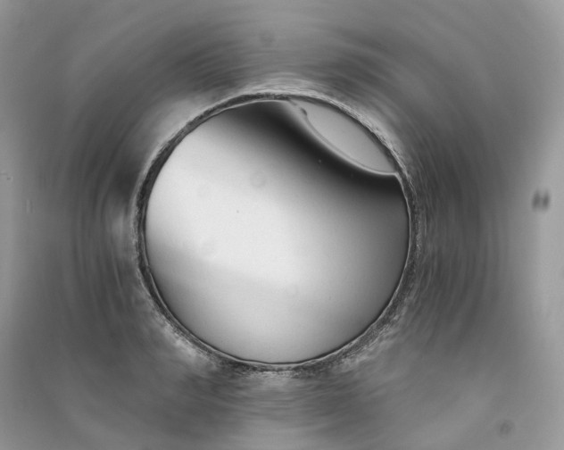 X0000090920990200708131429