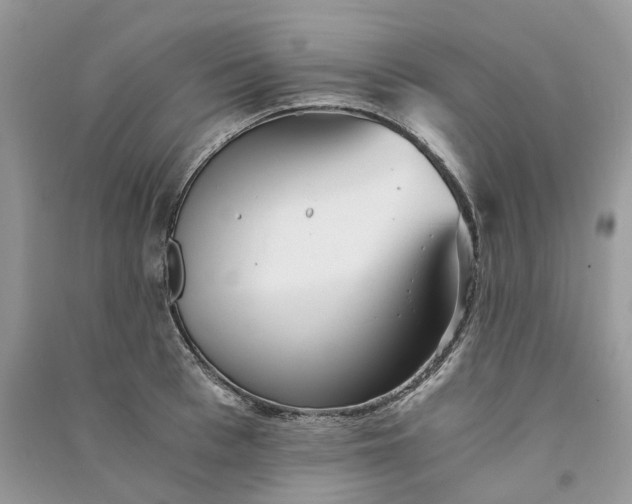 X0000090920993200708131429