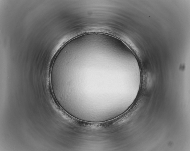 X0000090920994200708131429