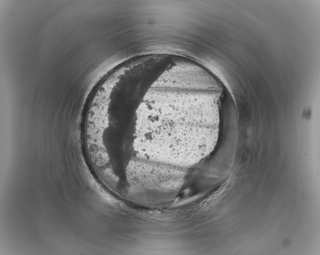 X0000090920995200708131429