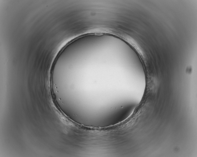 X0000090920996200708131429