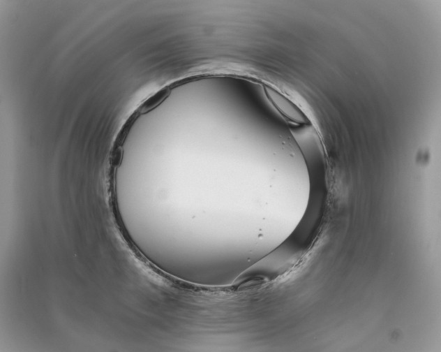 X0000090920997200708131429