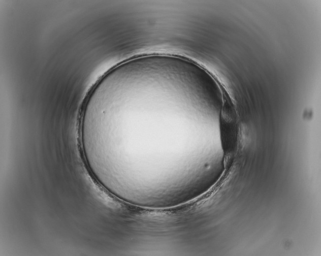 X0000090920998200708131429