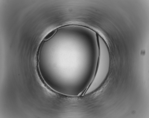 X0000090920999200708131429