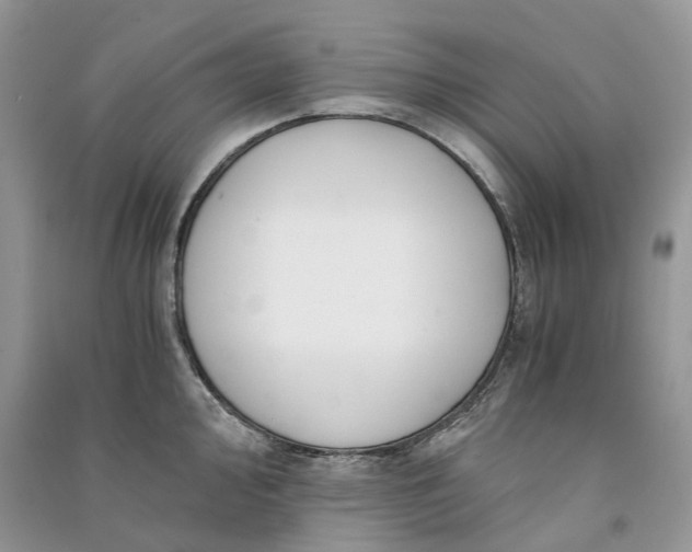 X0000090921000200708131429