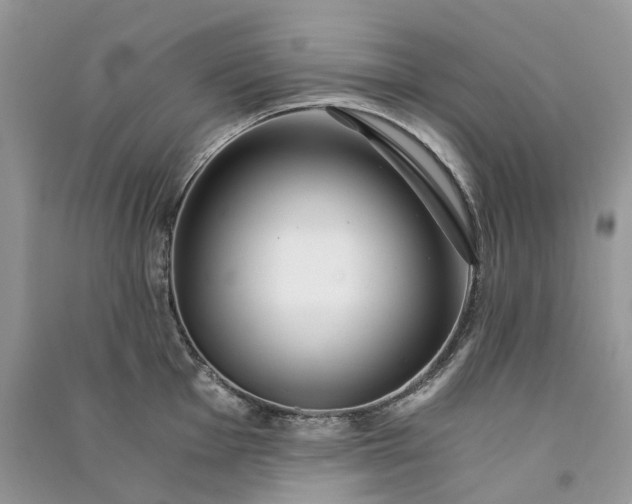 X0000090921001200708131429