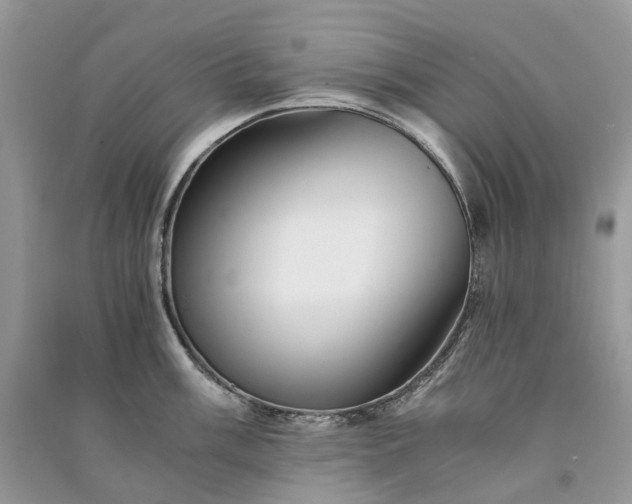 X0000090921003200708131429