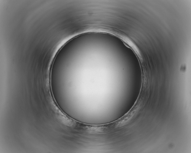 X0000090921004200708131429