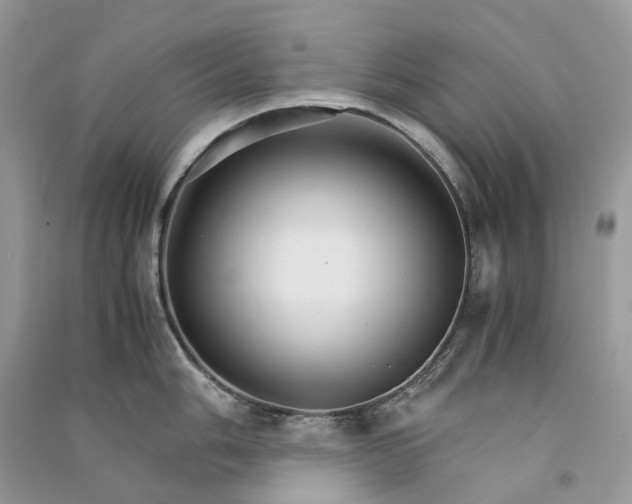 X0000090921006200708131429