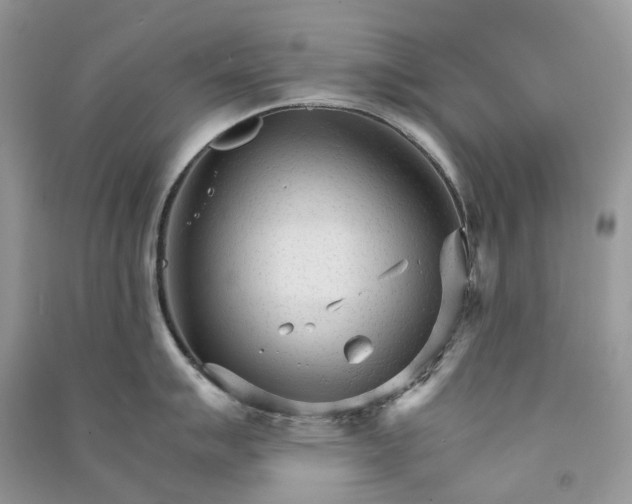 X0000090921007200708131429