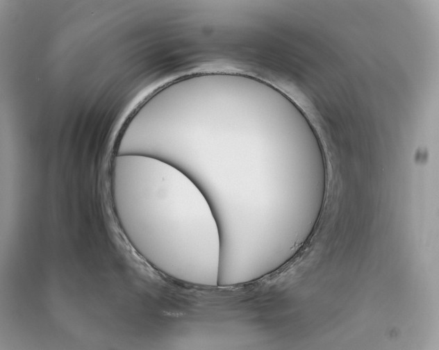 X0000090921008200708131429