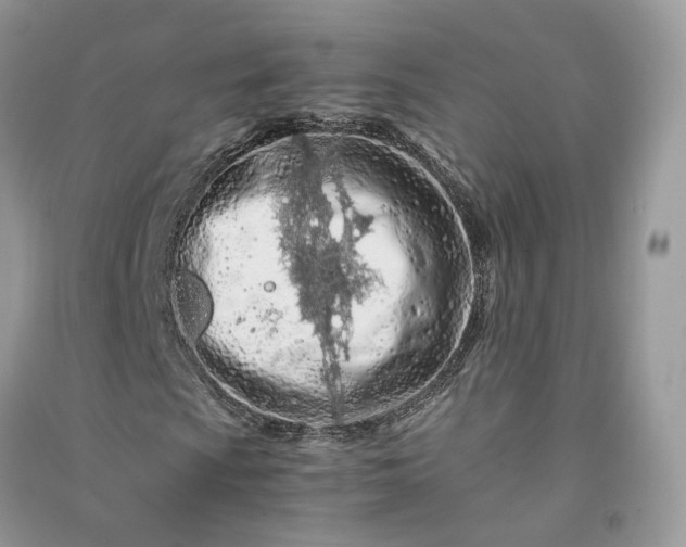 X0000090921009200708131428