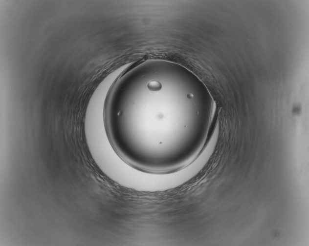 X0000090921010200708131428