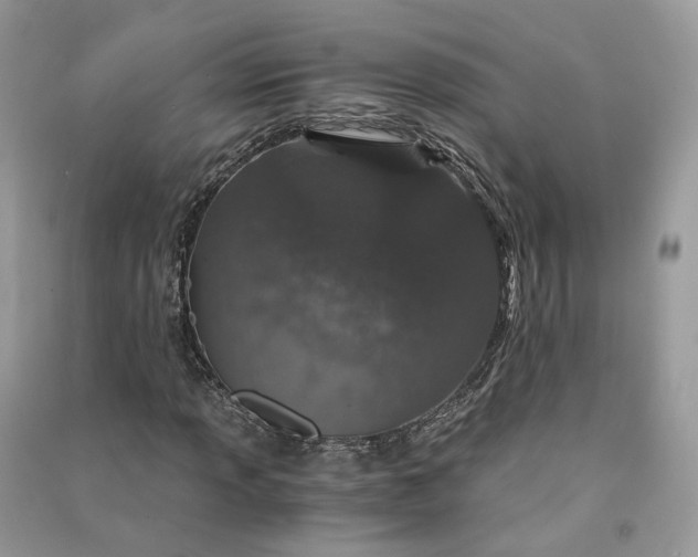 X0000090921013200708131428