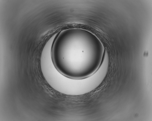 X0000090921014200708131428