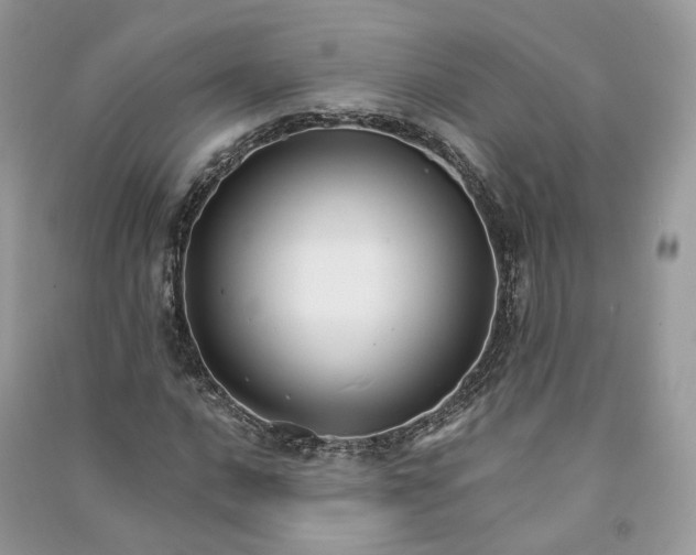 X0000090921016200708131428