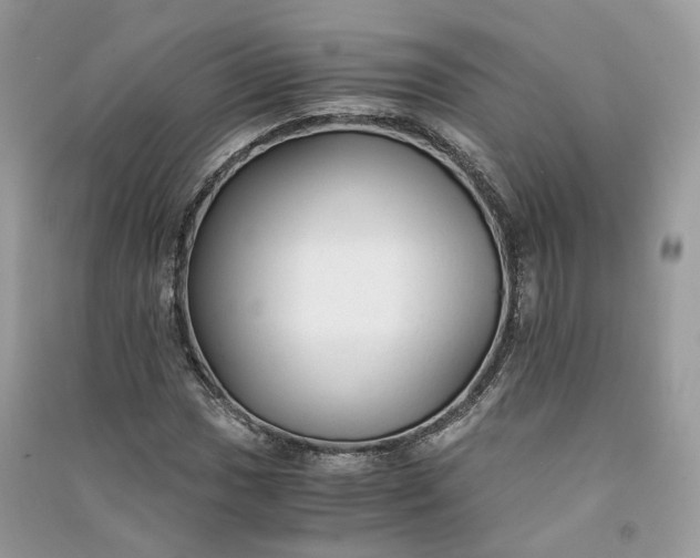 X0000090921017200708131428