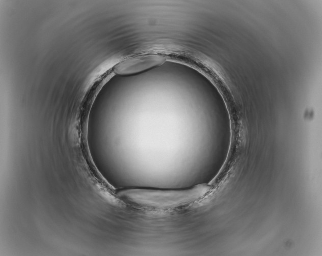 X0000090921018200708131428