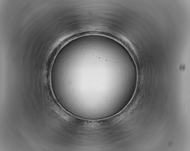 X0000090921019200708131428