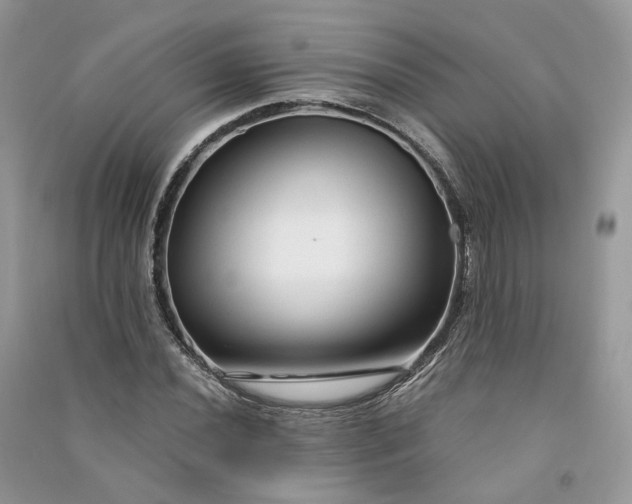 X0000090921020200708131428