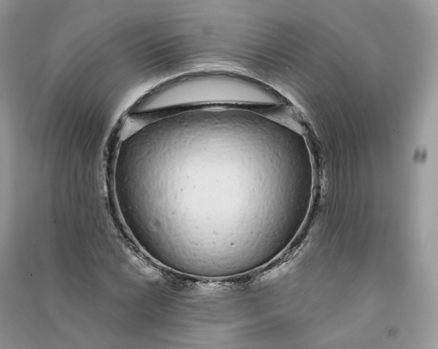 X0000090921022200708131428