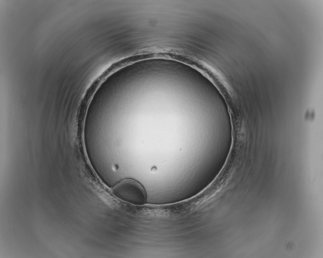 X0000090921023200708131428