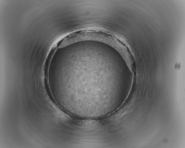 X0000090921024200708131428