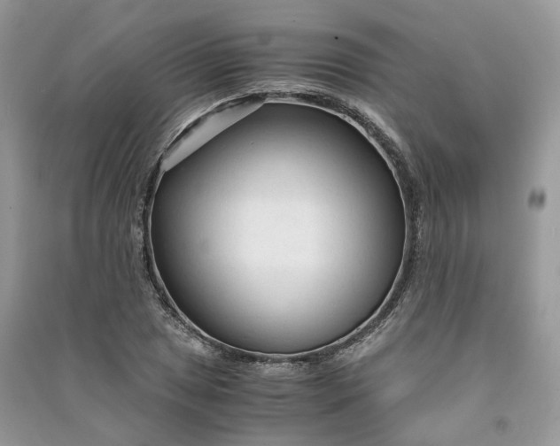 X0000090921025200708131428