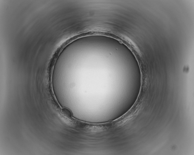 X0000090921027200708131428