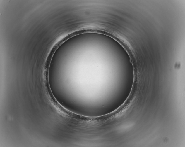 X0000090921029200708131428