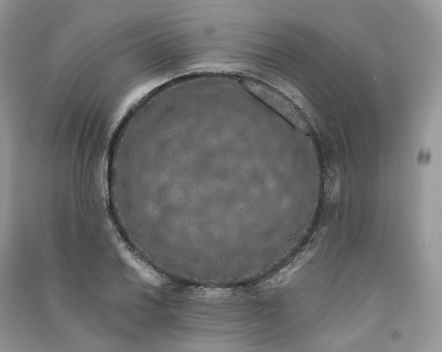 X0000090921030200708131428