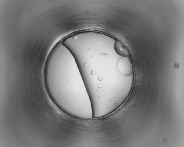 X0000090921032200708131428